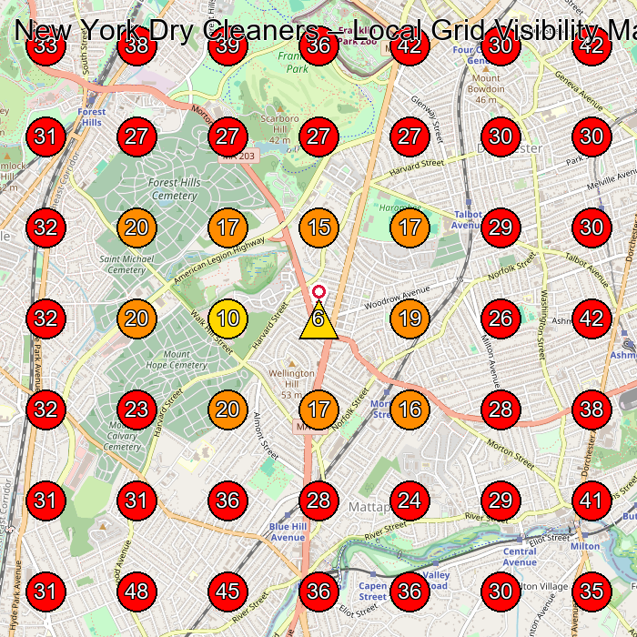 New York Dry Cleaners GeoGrid visibility map for Landscape Designer in Boston